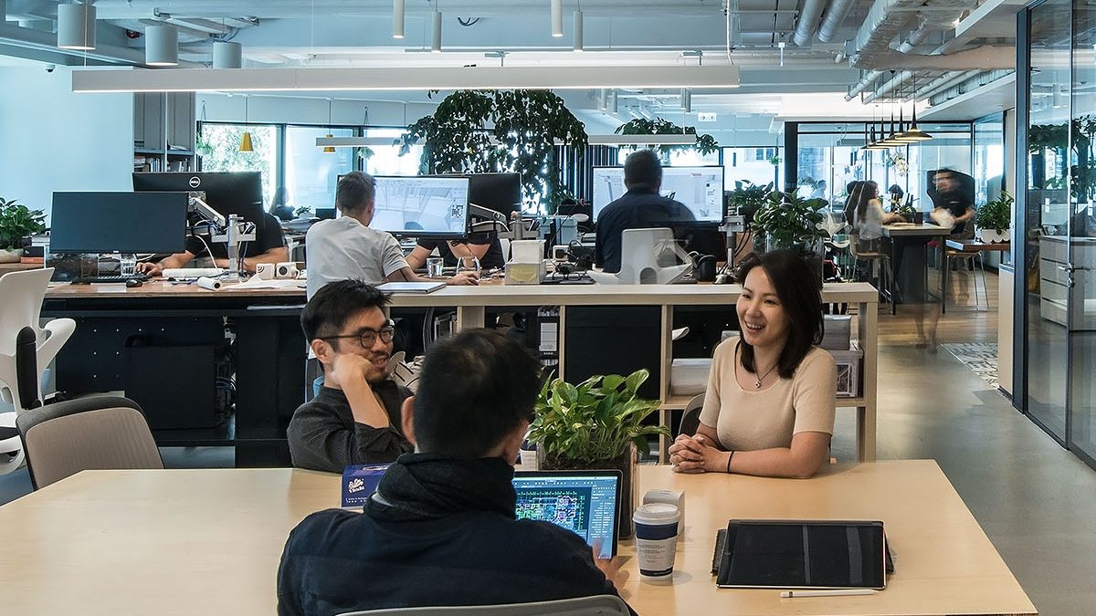 People collaborating