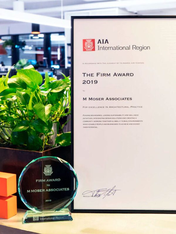 aia 2019 award