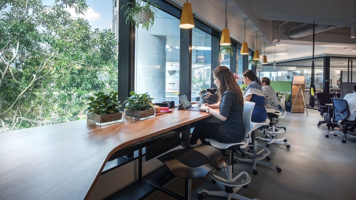 Women working at desks