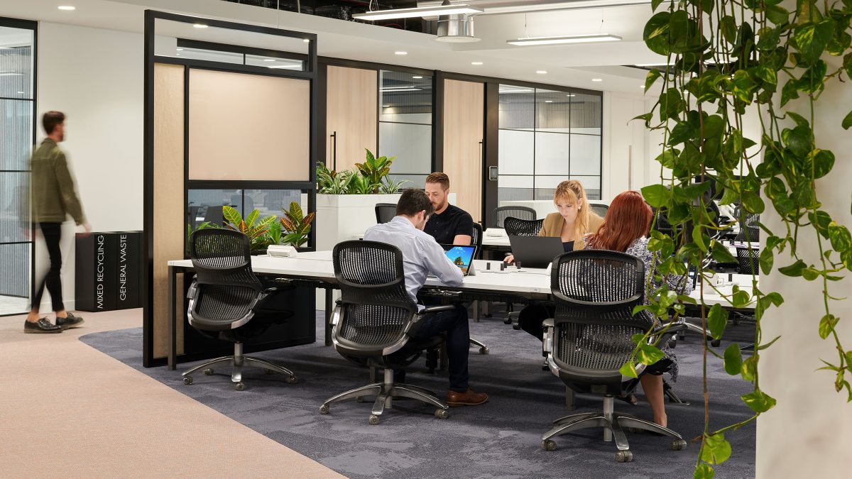 people working at desks