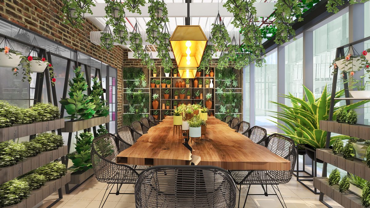 plants around room and long table