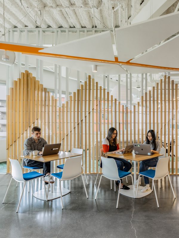 Alternative work points throughout offer places for individual or collaborative work. Room divider panels add interest and continue the mountain theme, while ceiling panels provide acoustic treatment in ice crystal patterns.