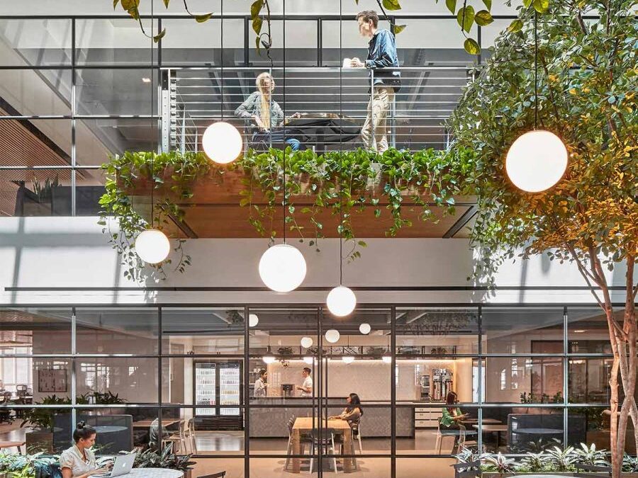 indoor-garden